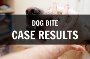 dog bite case results