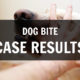 dog bite case results